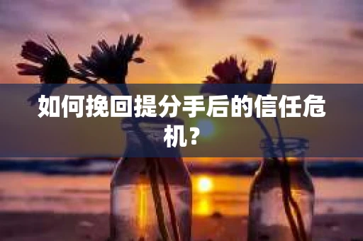 如何挽回提分手后的信任危机？