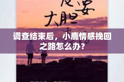 调查结束后，小鹿情感挽回之路怎么办？