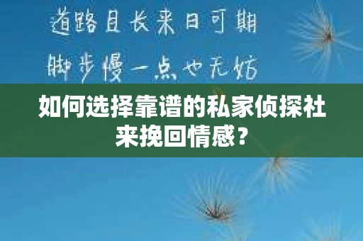 如何选择靠谱的私家侦探社来挽回情感？