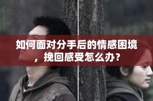 如何面对分手后的情感困境，挽回感受怎么办？