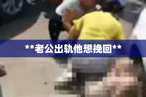 **老公出轨他想挽回**