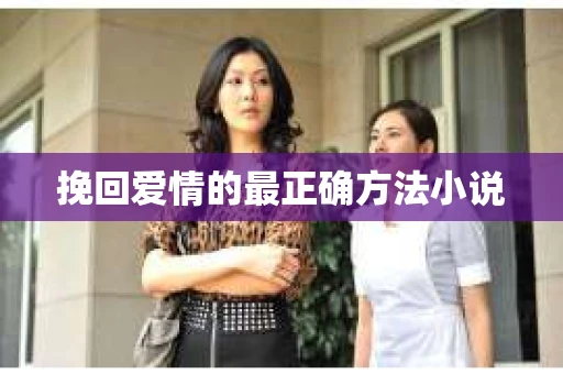 挽回爱情的最正确方法小说