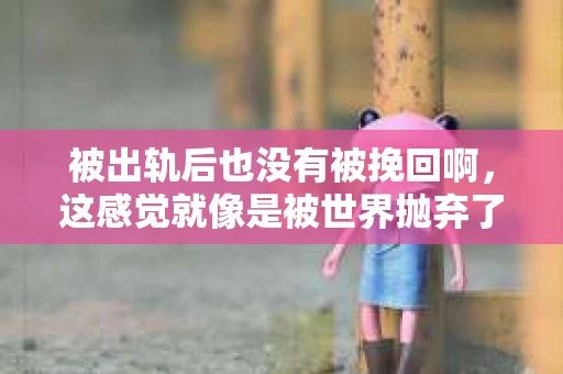 被出轨后也没有被挽回啊，这感觉就像是被世界抛弃了一样。我曾经也经历过这样的事情，那种心如刀割的痛，至今仍记忆犹新。今天，我想和大家聊聊这个话题，希望能给那些正在经历或者曾经经历过类似痛苦的人一些安慰和帮助。