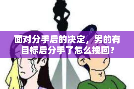 面对分手后的决定，男的有目标后分手了怎么挽回？