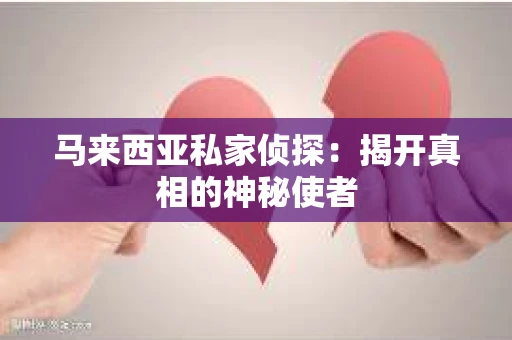 马来西亚私家侦探：揭开真相的神秘使者