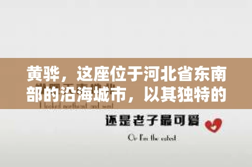 黄骅，这座位于河北省东南部的沿海城市，以其独特的地理位置和丰富的历史文化而闻名。然而，在这座城市中，还有一群人，他们以另一种方式默默守护着社会的公平与正义——私家侦探。今天，我们就来聊聊黄骅的私家侦探，看看他们是如何在这个城市中发挥作用的。