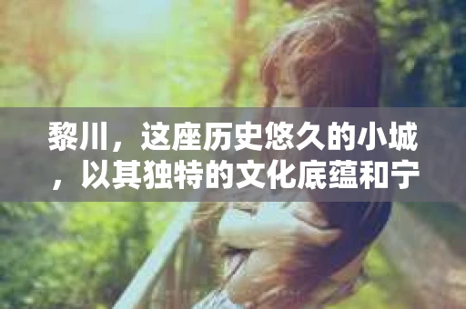 黎川，这座历史悠久的小城，以其独特的文化底蕴和宁静的生活节奏吸引着无数游客。然而，在这样一个看似平静的城市里，你是否会好奇，有没有私家侦探机构的存在呢？今天，就让我带你一探究竟。