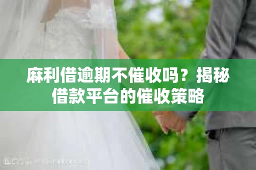 麻利借逾期不催收吗？揭秘借款平台的催收策略
