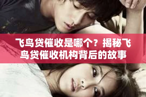 飞鸟贷催收是哪个？揭秘飞鸟贷催收机构背后的故事