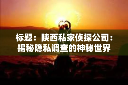标题：陕西私家侦探公司：揭秘隐私调查的神秘世界
