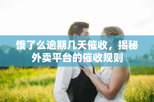 饿了么逾期几天催收，揭秘外卖平台的催收规则