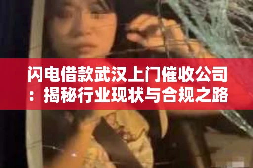 闪电借款武汉上门催收公司：揭秘行业现状与合规之路