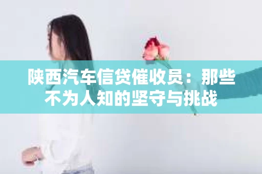 陕西汽车信贷催收员：那些不为人知的坚守与挑战