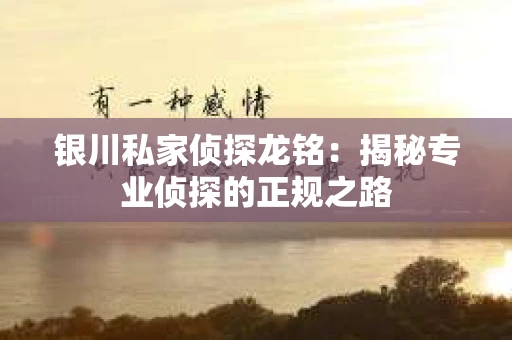 银川私家侦探龙铭：揭秘专业侦探的正规之路