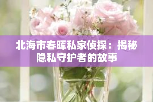 北海市春晖私家侦探：揭秘隐私守护者的故事
