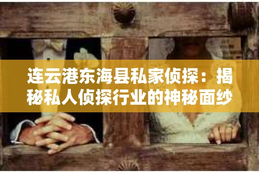 连云港东海县私家侦探：揭秘私人侦探行业的神秘面纱