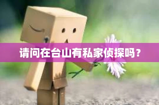 请问在台山有私家侦探吗？