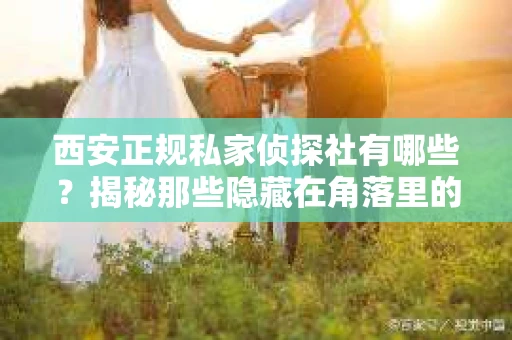 西安正规私家侦探社有哪些？揭秘那些隐藏在角落里的神秘力量