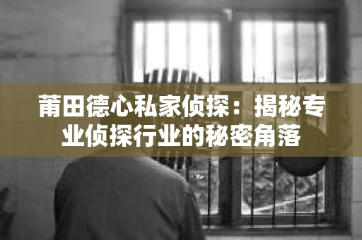 莆田德心私家侦探：揭秘专业侦探行业的秘密角落