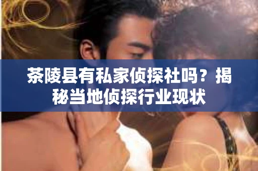 茶陵县有私家侦探社吗？揭秘当地侦探行业现状