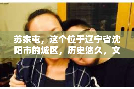 苏家屯，这个位于辽宁省沈阳市的城区，历史悠久，文化底蕴深厚。近年来，随着社会的发展，人们对于私家侦探的需求也逐渐增加。那么，苏家屯有私家侦探吗？今天，我们就来聊聊这个话题。