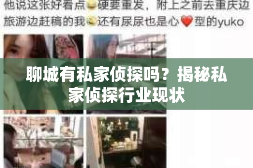 聊城有私家侦探吗？揭秘私家侦探行业现状