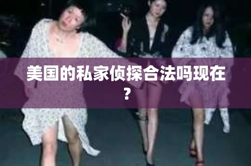 美国的私家侦探合法吗现在？