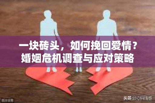 一块砖头，如何挽回爱情？婚姻危机调查与应对策略