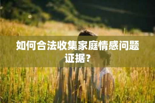 如何合法收集家庭情感问题证据？